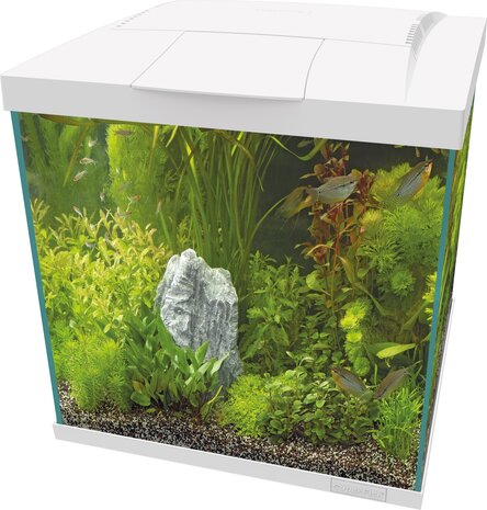 Superfish Start 60 Qube Kit Weiß