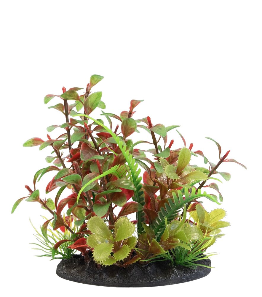 Superfish Deco Plant S2