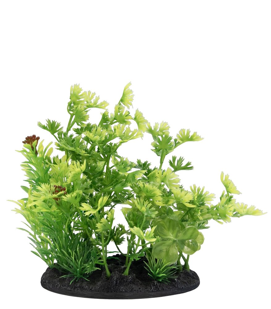 Superfish Deco Plant S3