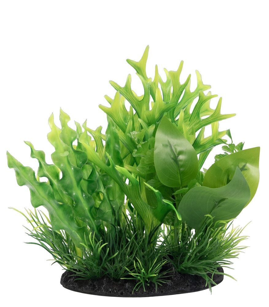 Superfish Deco Plant S4