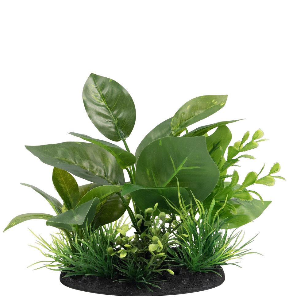 Superfish Deco Plant S5