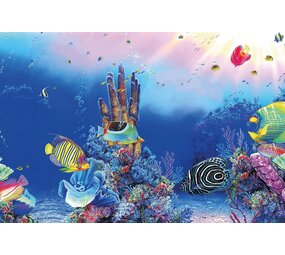 Superfish Deco Poster F5 120x61cm