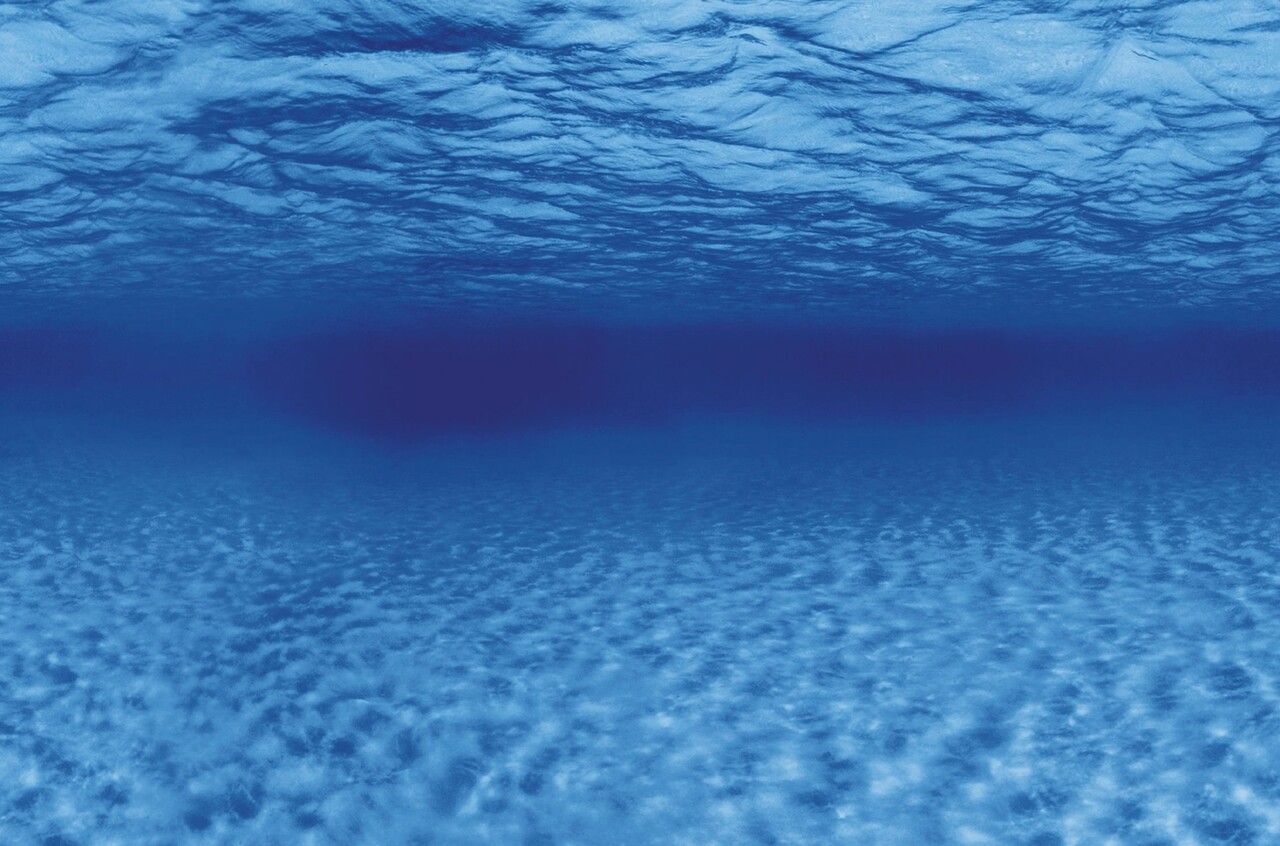 Superfish Deco Poster F5 120x61cm