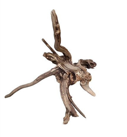 HS Aqua Dark Slim Wood XS 10–20 cm