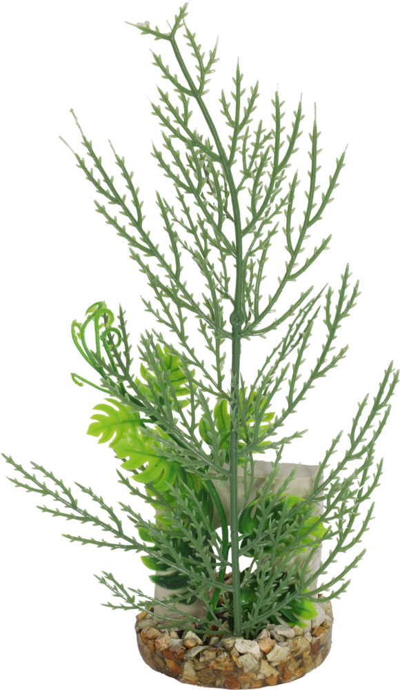 Sydeco Kunstpflanze Arc de Triomphe 22cm