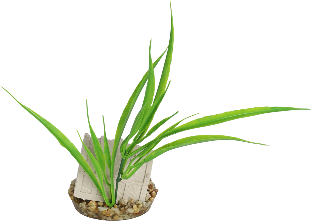 Sydeco Kunstpflanze Schatzkiste 20cm