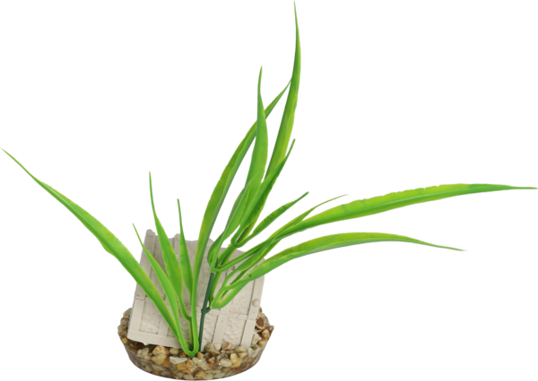 Sydeco Kunstpflanze Schatzkiste 20cm