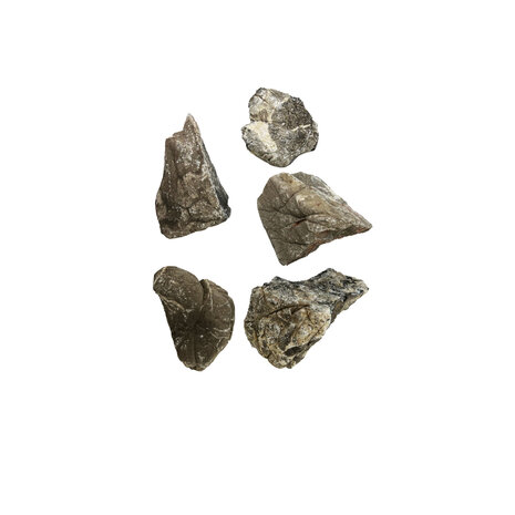 Aquadeco Elephant Stones S 5–10cm