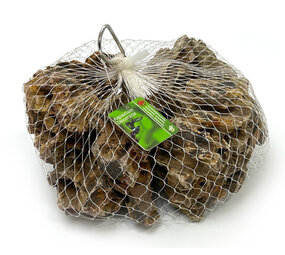 Aquadeco Dragon Stone M 10–15cm