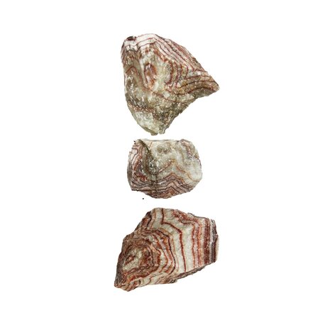 Aquadeco Rosy Cloud Stone M 10–15cm