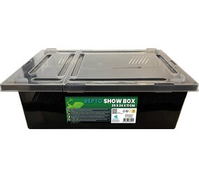 Repto Show Box 35x24x11cm