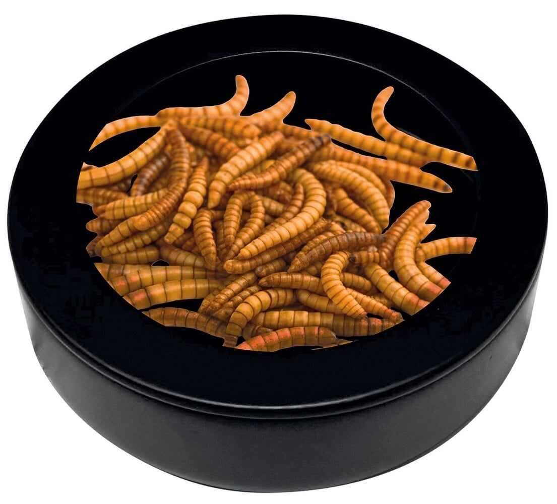 Repto Terrarium Deco Worm Dish