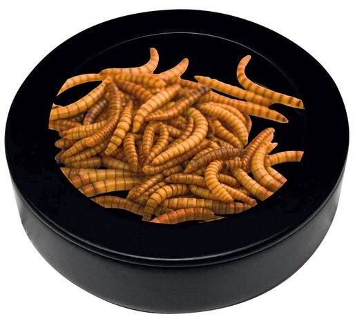 Repto Terrarium Deco Worm Dish