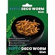 Repto Terrarium Deco Worm Dish