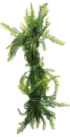Repto Terrarium Kunstpflanze Vines Green Asparagus 60cm