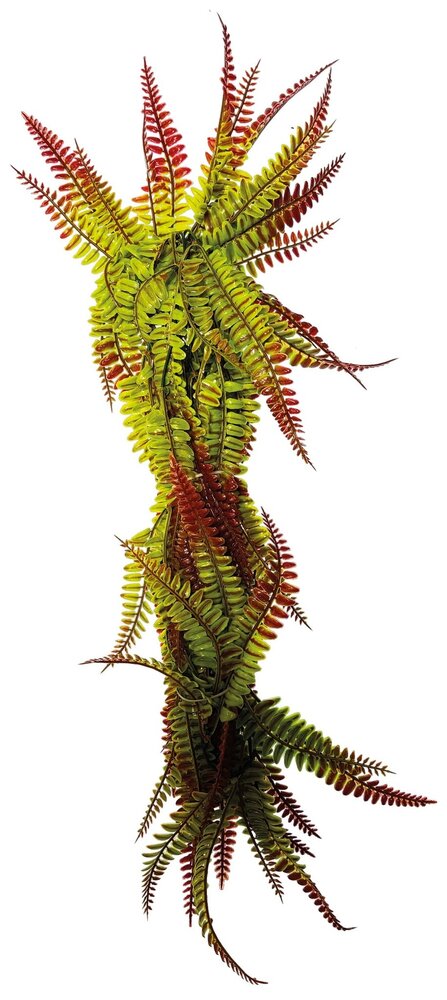 Repto Terrarium Kunstpflanze Vines Red/Green Fern 60cm
