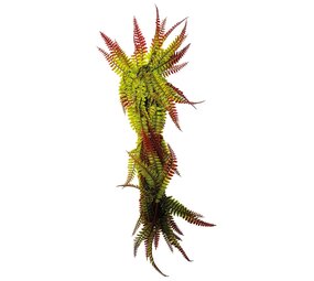 Repto Terrarium Kunstpflanze Vines Red/Green Fern 60cm