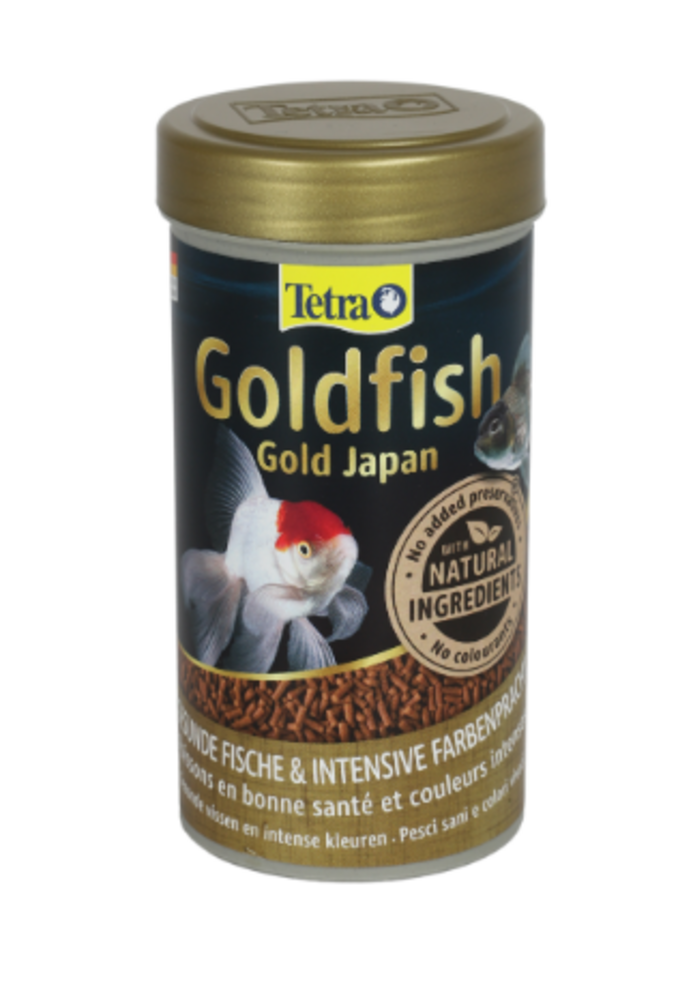 Tetra Goldfish Gold Japan Tetra Goldfish Gold Japan