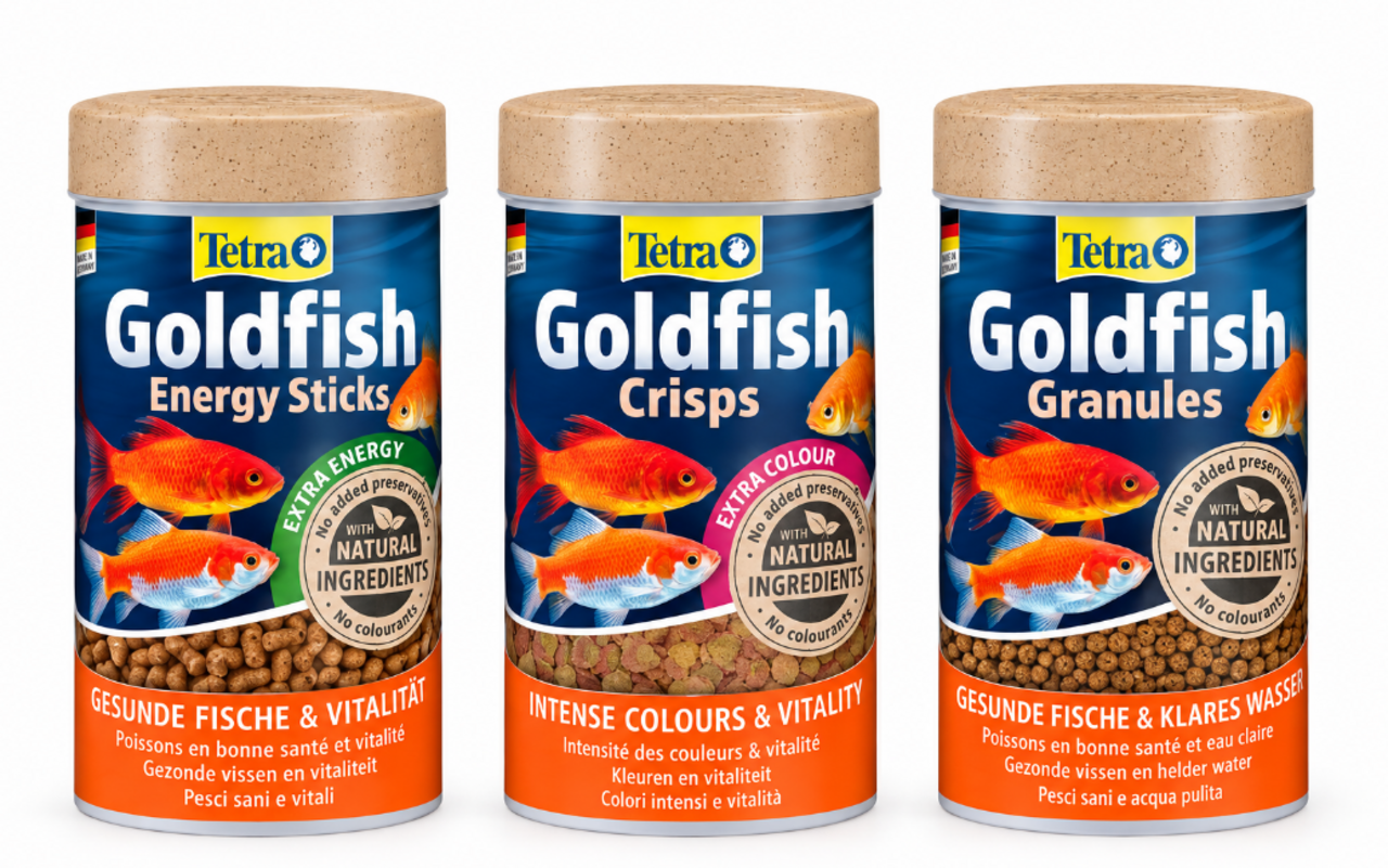 Tetra Goldfisch Komplettset Futterpaket Variation Tetra Goldfisch Komplettset Futterpaket Variation