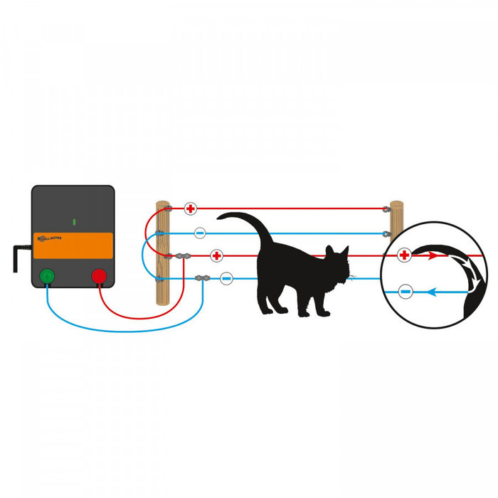 Gallagher Kit de clôture électrique anti-chats pour clôture - M35 (230 V) - 50 m