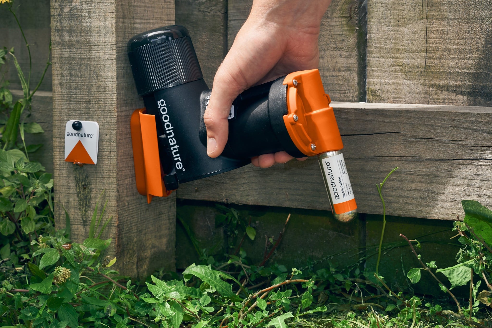 Goodnature Kit de fixation sur arbre Goodnature A24