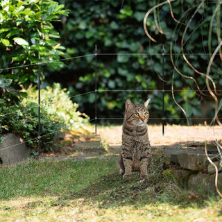 Katten uit je tuin weren? Bekijk de permanente op - OnlineSchrikdraad.nl - De beste oplossingen om in de te houden of uit de tuin te weren.
