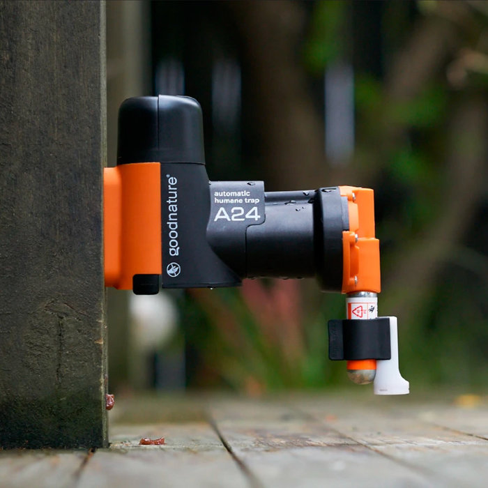 Goodnature Digitale Vangst Teller A24