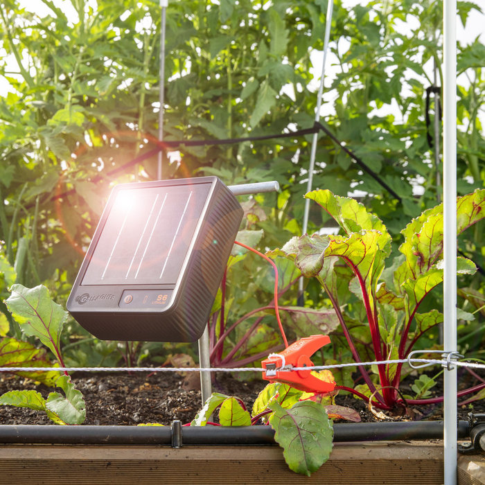 Gallagher Huisdieren Schrikdraadset op zonne-energie voor in de tuin  - 33 m/80 cm