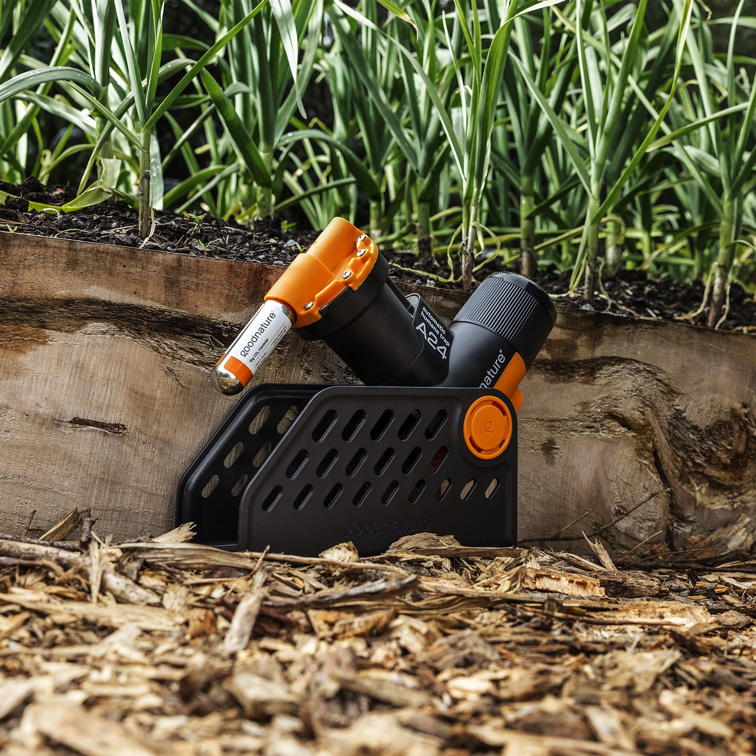 Goodnature Kit de piège à rats Goodnature® A24 Smart Trap + Smart Cap + support de passage