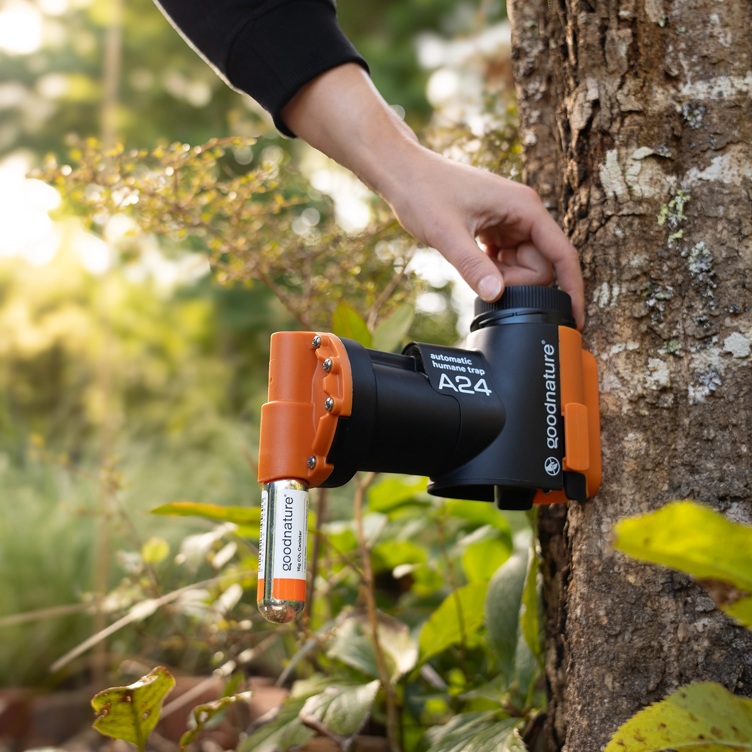 Goodnature Goodnature® Rattenval A24 (schietval) Starter-Kit