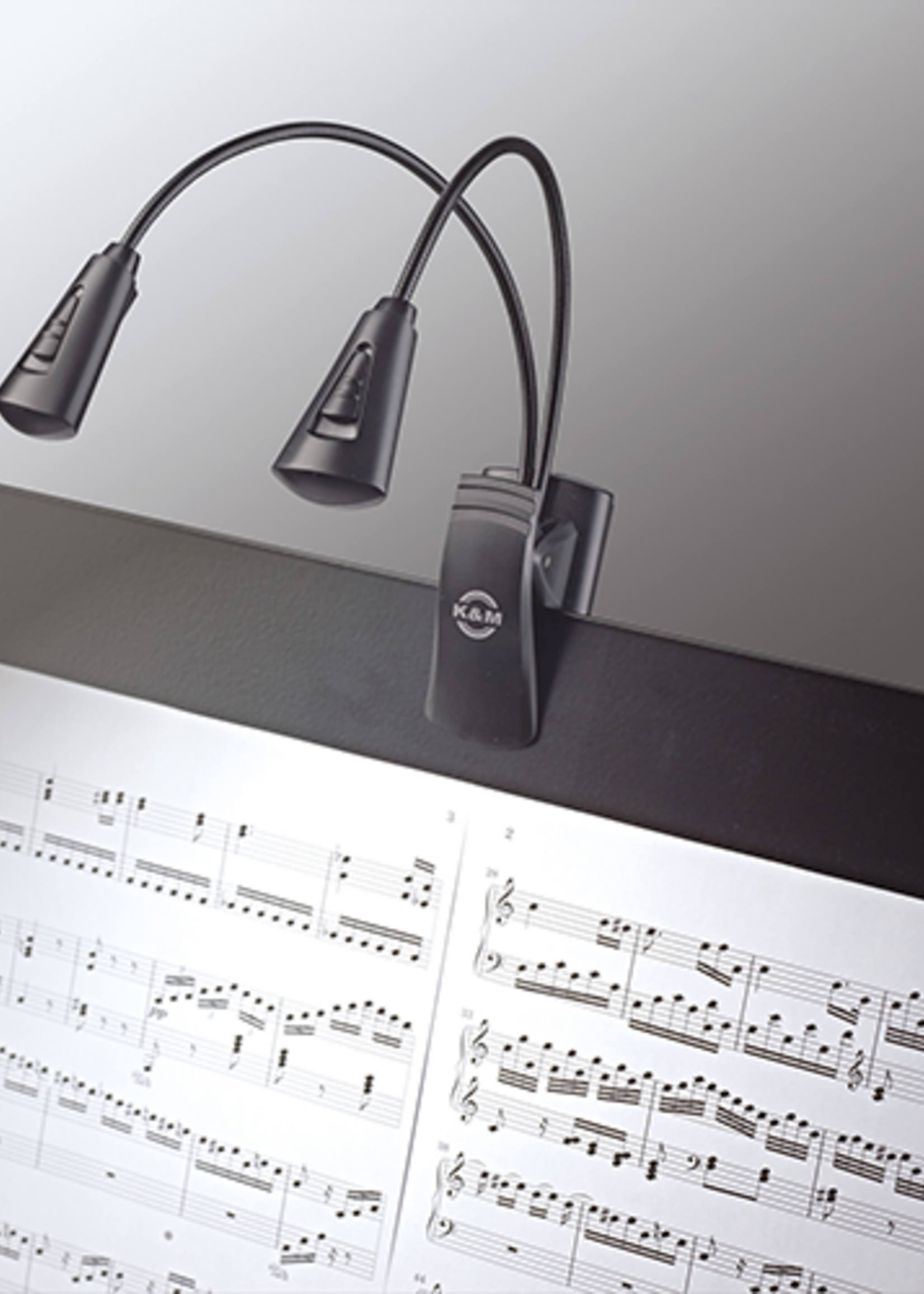 K&M K&M Dubbele 2 LED Lessenaarlamp Flexlight (12244)