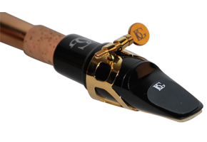 BG A10-L mondstukplakkers