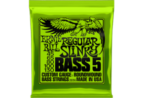 Ernie Ball Regular Slinky Bassnaren 5-String 45-130