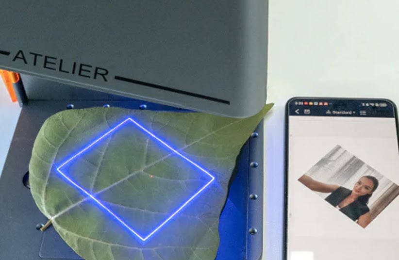 Projected preview of the design on the leaf.