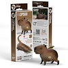 EUGY 3D - CAPIBARA