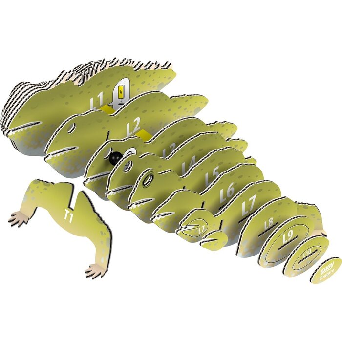 Eugy EUGY 3D - TUATARA