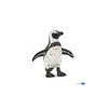 AFRIKAANSE PINGUIN