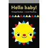 HELLO BABY - KNISPERBOEKJE