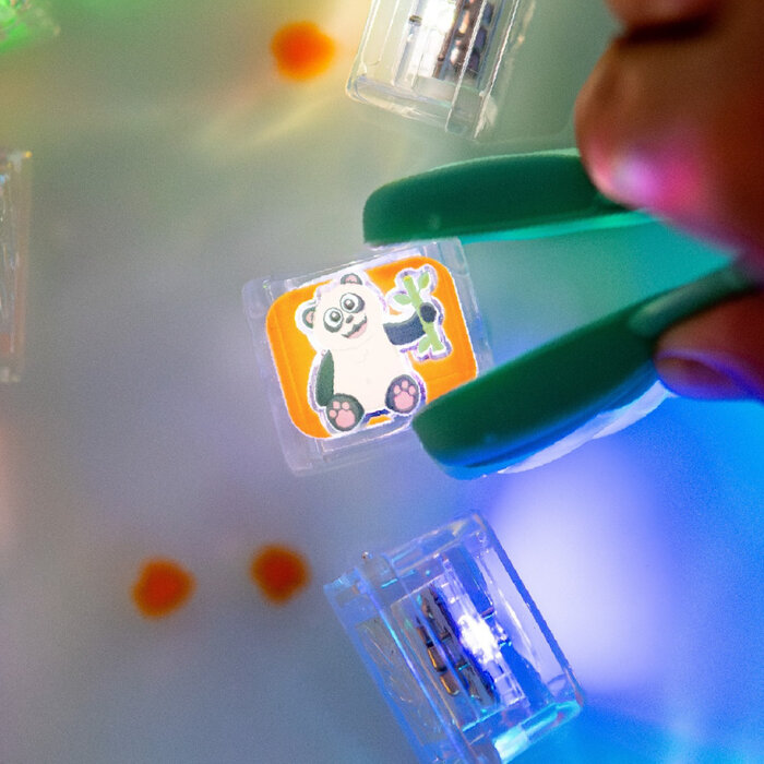 Glo pals Glo pals light up cubes (6st.) - Zany zoo