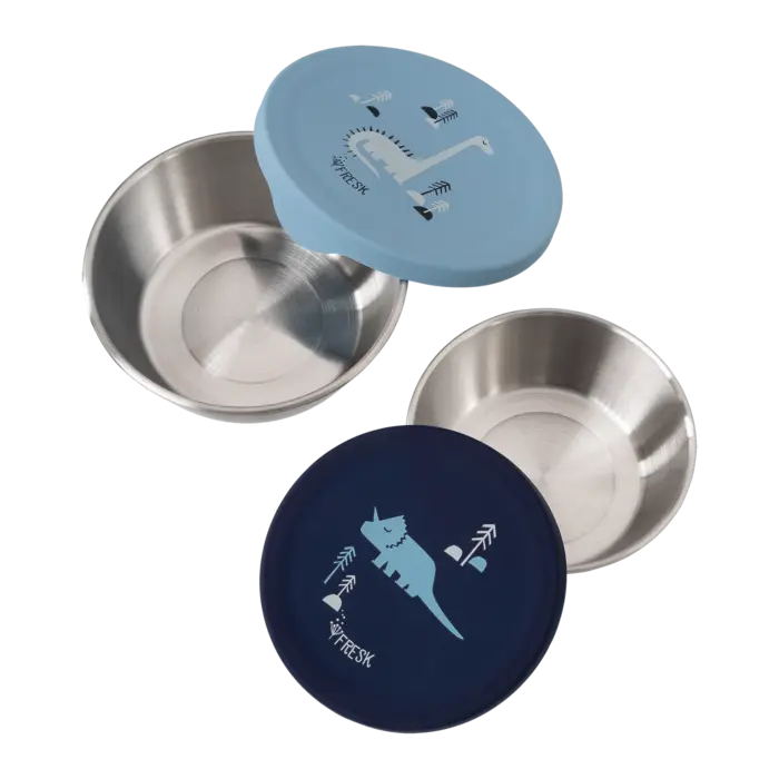 Fresk Snackdoosjes - Dino (set 2)