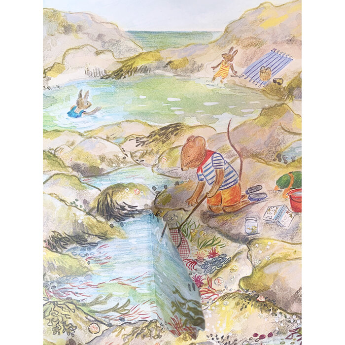 Christofoor Muis aan zee - verhalenboek