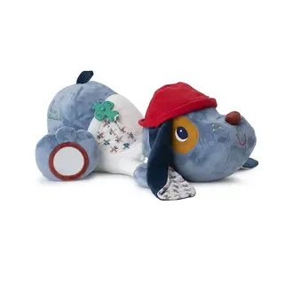 Lilliputiens JULES GROTE ONTDEKKINGSHOND