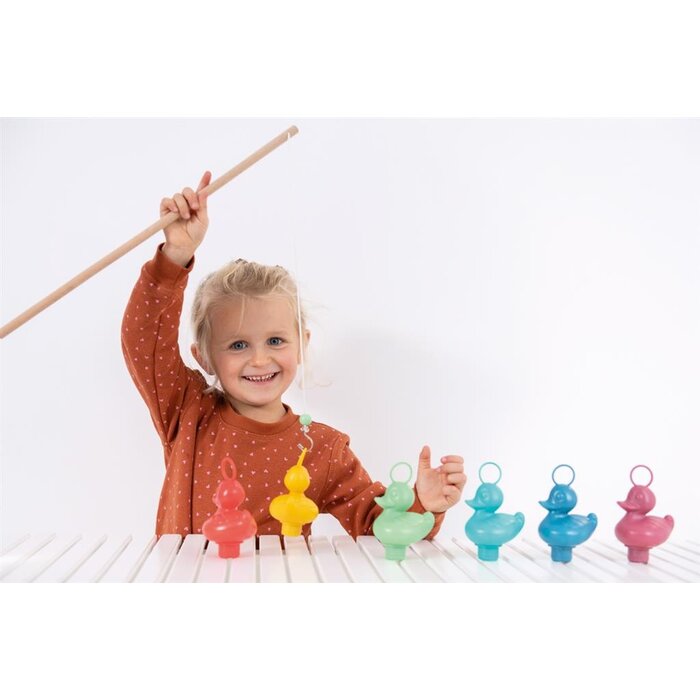 Set Van 6 Kermiseendjes - Koraalrif