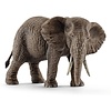 Wildlife - Afrikaanse olifant