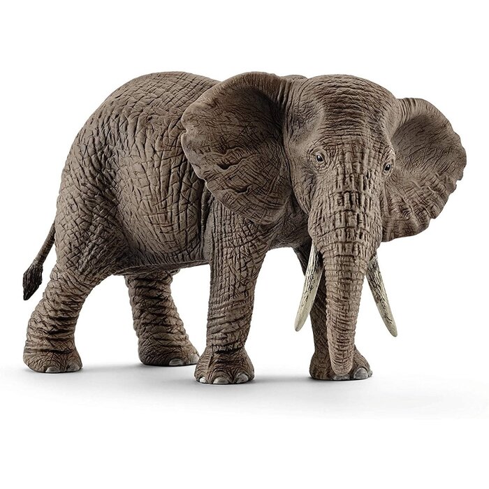 Schleich Wildlife - Afrikaanse olifant