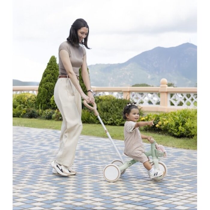 Globber Driewieler & oefenfiets - Learning Trike - 12 tot 36 maanden