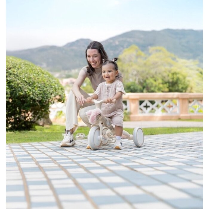 Globber Driewieler & oefenfiets - Learning Trike - 12 tot 36 maanden - Copy