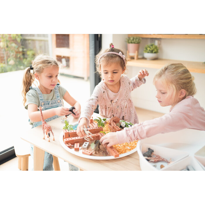 Inspire My play PlayTray