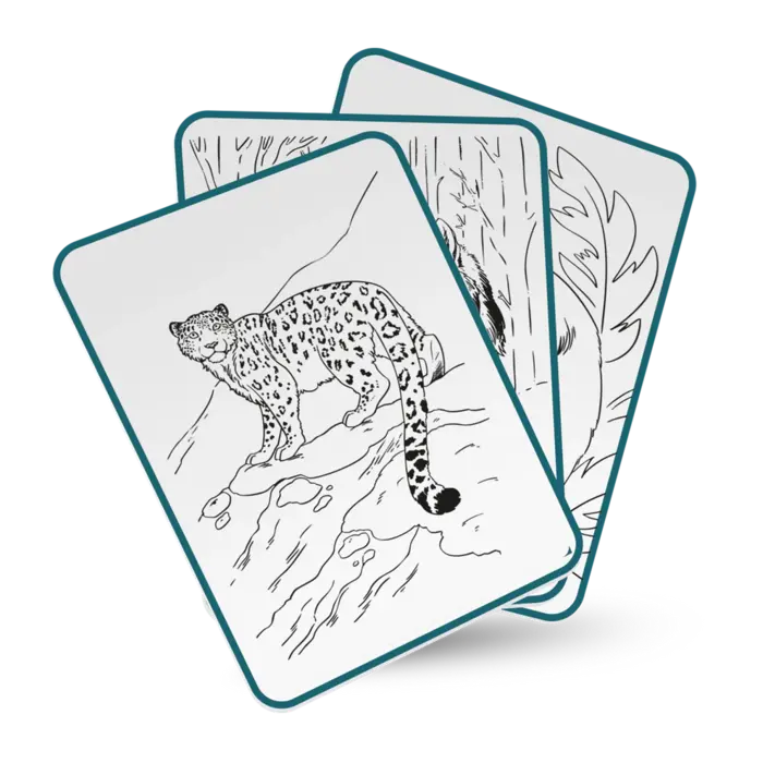 Kidywolf Kidydraw Pad- Verlichte tekentablet - Dieren (8J+)