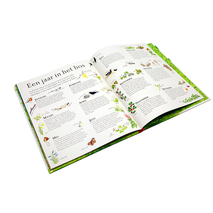 Christofoor Voorleesboek - Het bos van muis